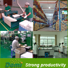 Company Overview – Demi Co., Ltd.