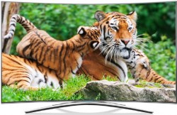 55inches OLED TV – Curved TV