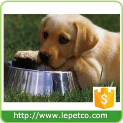 Custom logo Non-Skid Rust Resistant Stainless Steel Dog Bowls pet food bowl