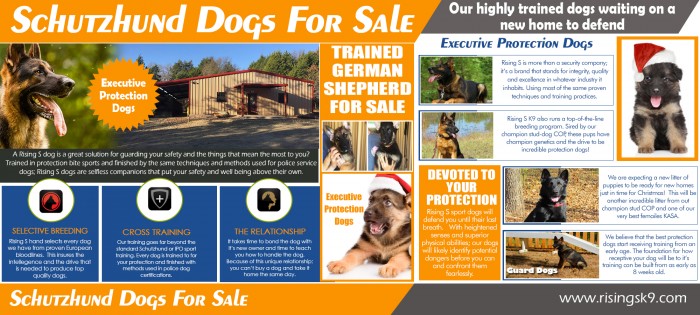 Schutzhund Dogs For Sale