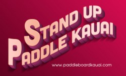 stand up paddle kauai