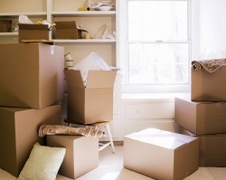Chicago Moving Companies