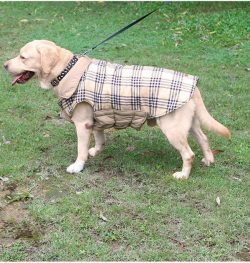 Waterproof Reversible Dog Jacket – My Pet