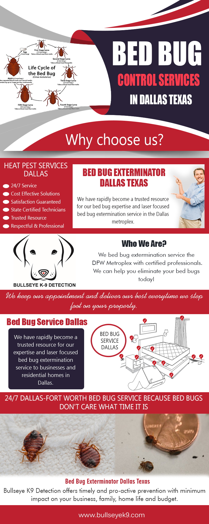 Bed Bug Control Services in Dallas Texas