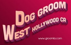 Dog Groomers West Hollywood CA
