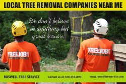 Rowell tree removal emergency service
