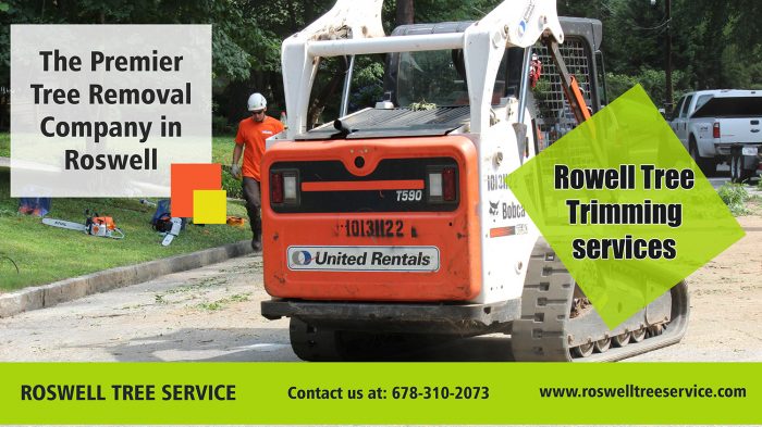 Rowell Tree trimming services