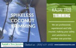 Kauai Tree Trimming