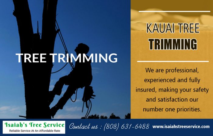 Kauai-Tree Trimming
