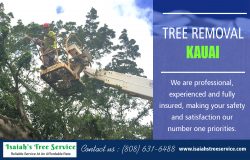 Tree Removal Kauai