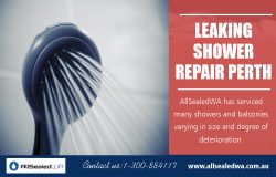 Leaking Shower Repair Perth