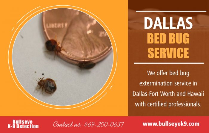 Dallas Bed Bug Service | 4692000637 | bullseyek9.com