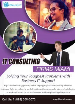 IT Consulting Firms Miami | Call: 1-888-509-0075 | bleuwire.com