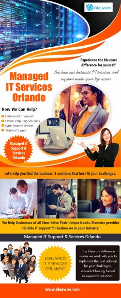 Managed IT Services Orlando