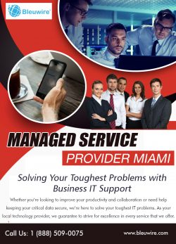 Managed Service Provider Miami | Call: 1-888-509-0075 | bleuwire.com