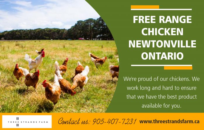 Free Range Chicken Newtonville Ontario