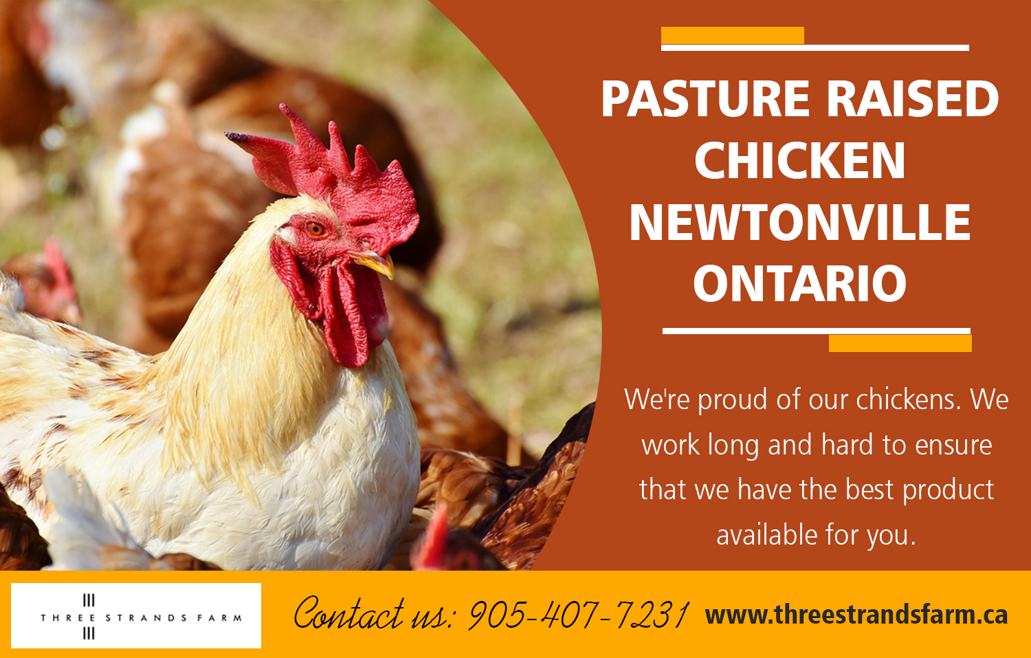 pasture raised chicken newtonville ontario