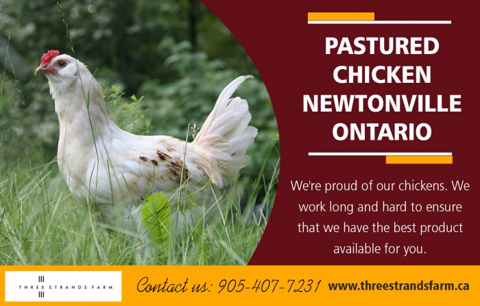 Pastured Chicken Newtonville Ontario