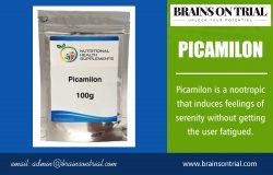 Picamilon