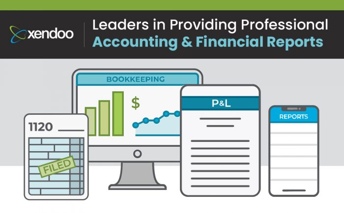 Xendoo – Leaders in Providing Professional Accounting & Financial Reports