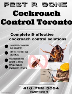 Cockroach Control Services In Toronto
