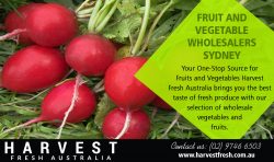 Fruit and Vegetable Wholesalers Sydney