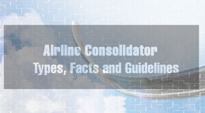 Airline Consolidator: Type, Facts and Guidelines