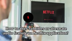 How to alter subtitles or alternate audio feature on Netflix application?