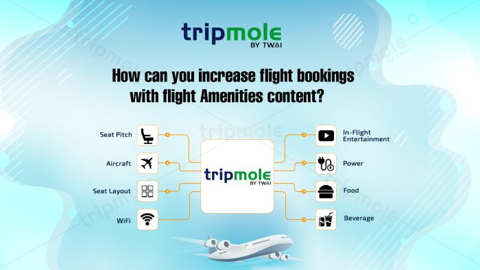 How can you increase flight bookings with flight Amenities content?
