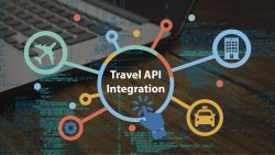 Why do travel agencies think Travel API integration is important?