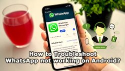 How to Troubleshoot WhatsApp not working on Android?