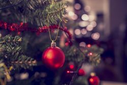 LED Holiday Light – LED Christmas Lights: Holiday Energy Saving Options