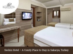 Seckin Hotel – A Comfy Place to Stay in Sakarya, Turkey