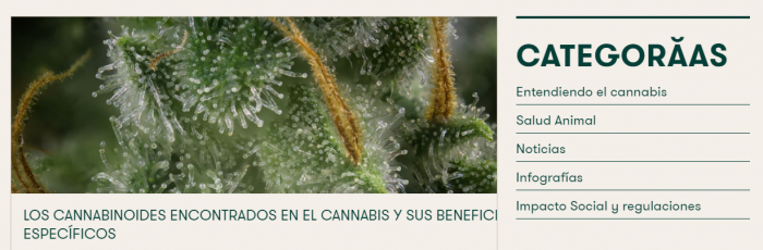beneficios de cannabis