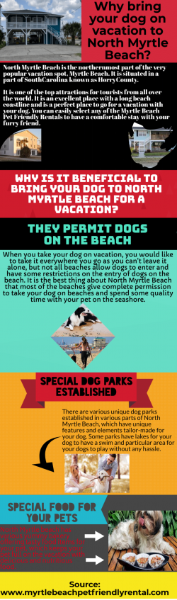 Adventurous activities and pet friendly vacation rentals in Myrtle Beach
