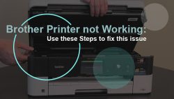 Brother Printer not working: Use these Steps to fix this issue