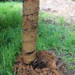Residential Soil Testing Mornington Peninsula – 4spheres