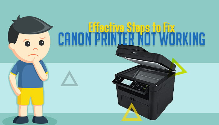 canon printer light on but not working