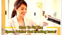 How to Fix the Epson Printer Not Printing Issue?