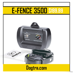 Dogtra – E-FENCE 3500