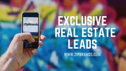 Best Real Estate Lead Providers – Zip Brands