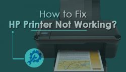 How to Fix HP Printer Not Working?