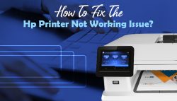 How To Fix The Hp Printer Not Working Issue?