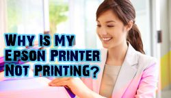 Why is My Epson Printer Not Printing?