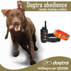 Dogtra obedience remote-training e collars