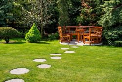 How To Get Your Lawn Looking Perfect