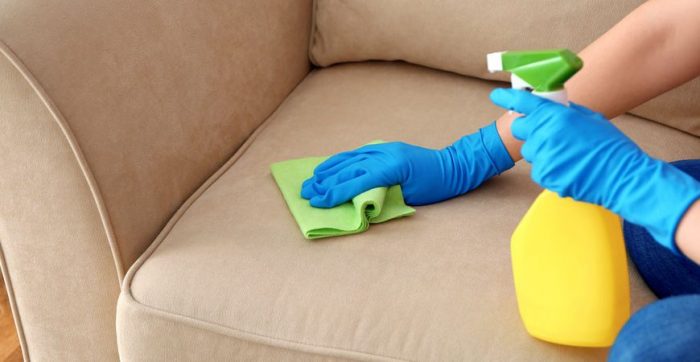 Eco-Conscious Sofa Cleaning Services