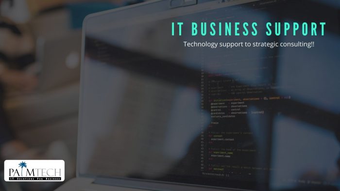 Comprehensive IT Business Support Services