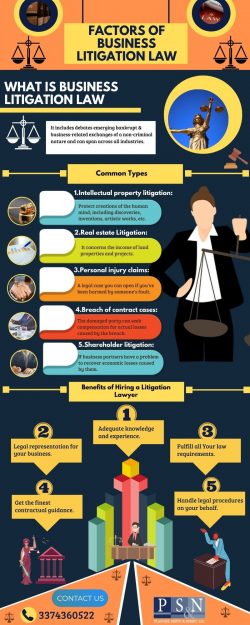 Dedicated Business Litigation Lawyers for Your Claims