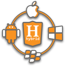Hybrid Mobile App Development Company India, USA